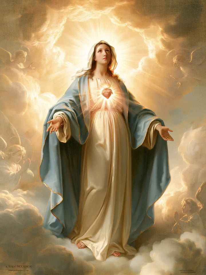 The Immaculate Heart of Mary — Light Crowning the Pale Robe