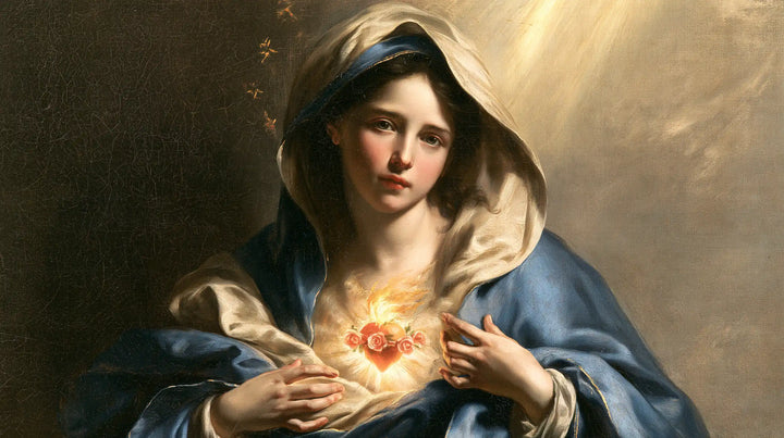The Immaculate Heart of Mary — The Peaceful Face in the Slanting Ray