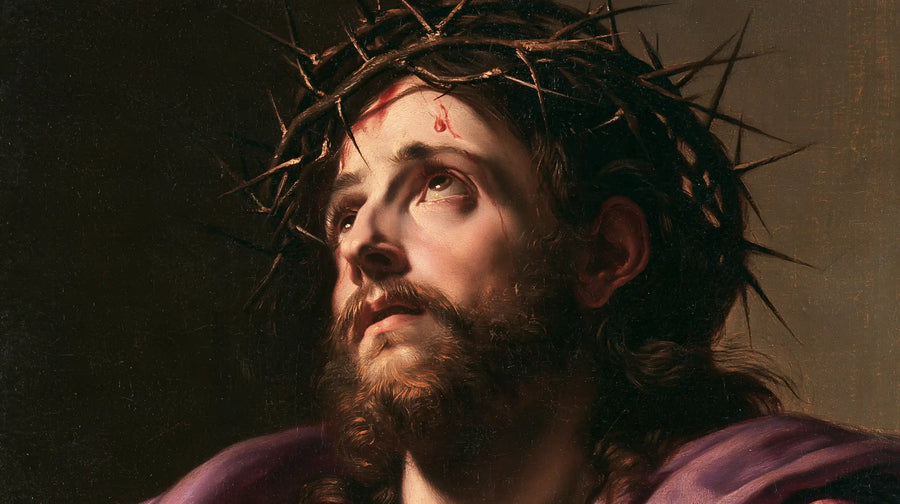 Jesus Crowned with Thorns — The Red Drop beneath the Thorns