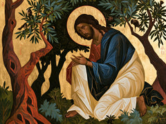 Jesus in Gethsemane — Sacred Linen beneath the Boughs
