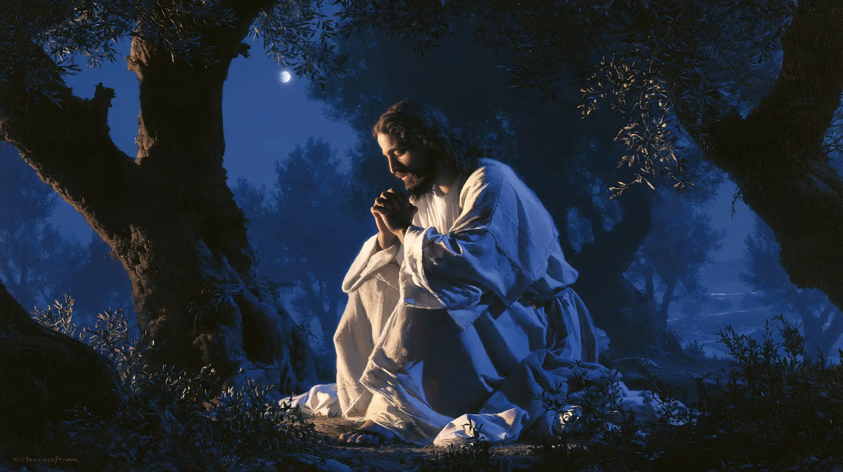 Jesus in Gethsemane — White Linen in the Night Alcove